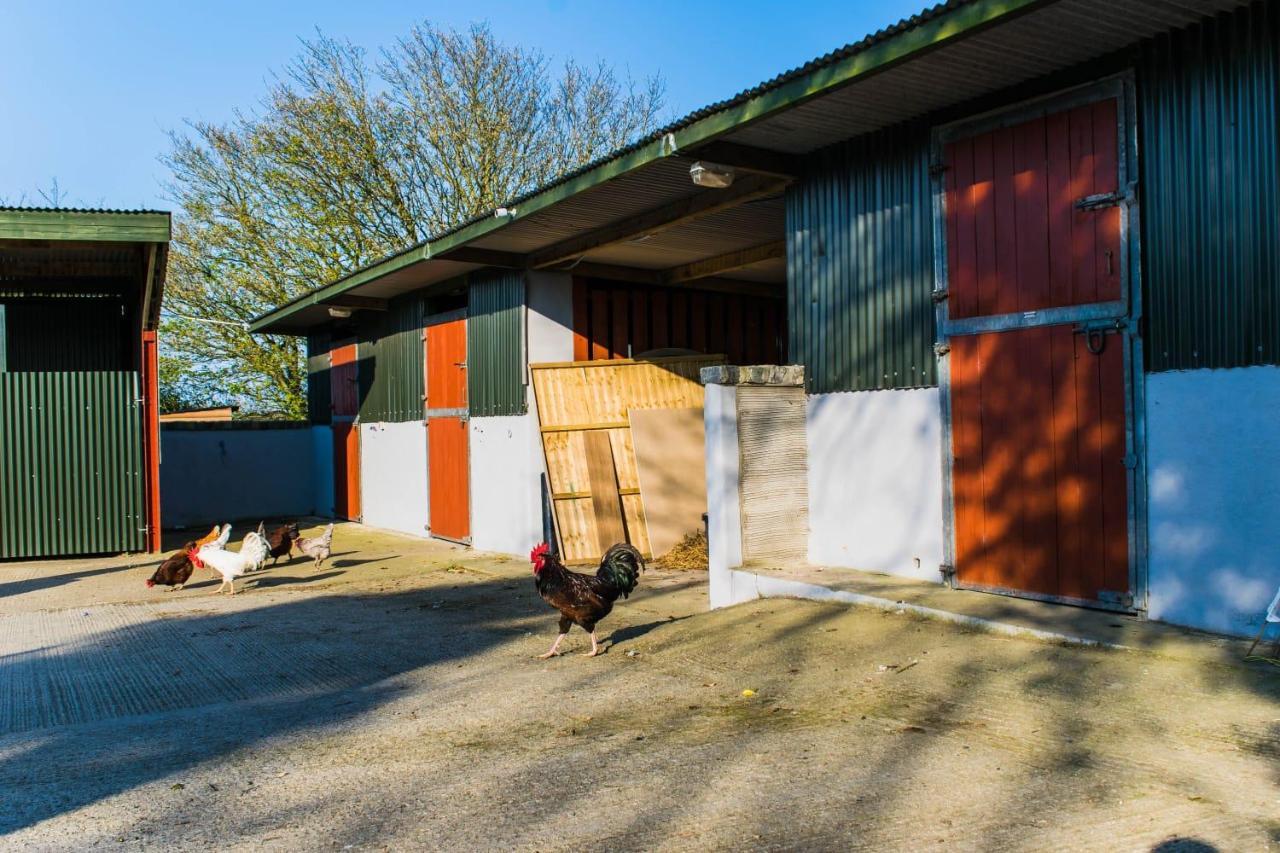 The Heights & Hollows Farmhouse, Saul, Downpatrick, Sleeps 14 ภายนอก รูปภาพ